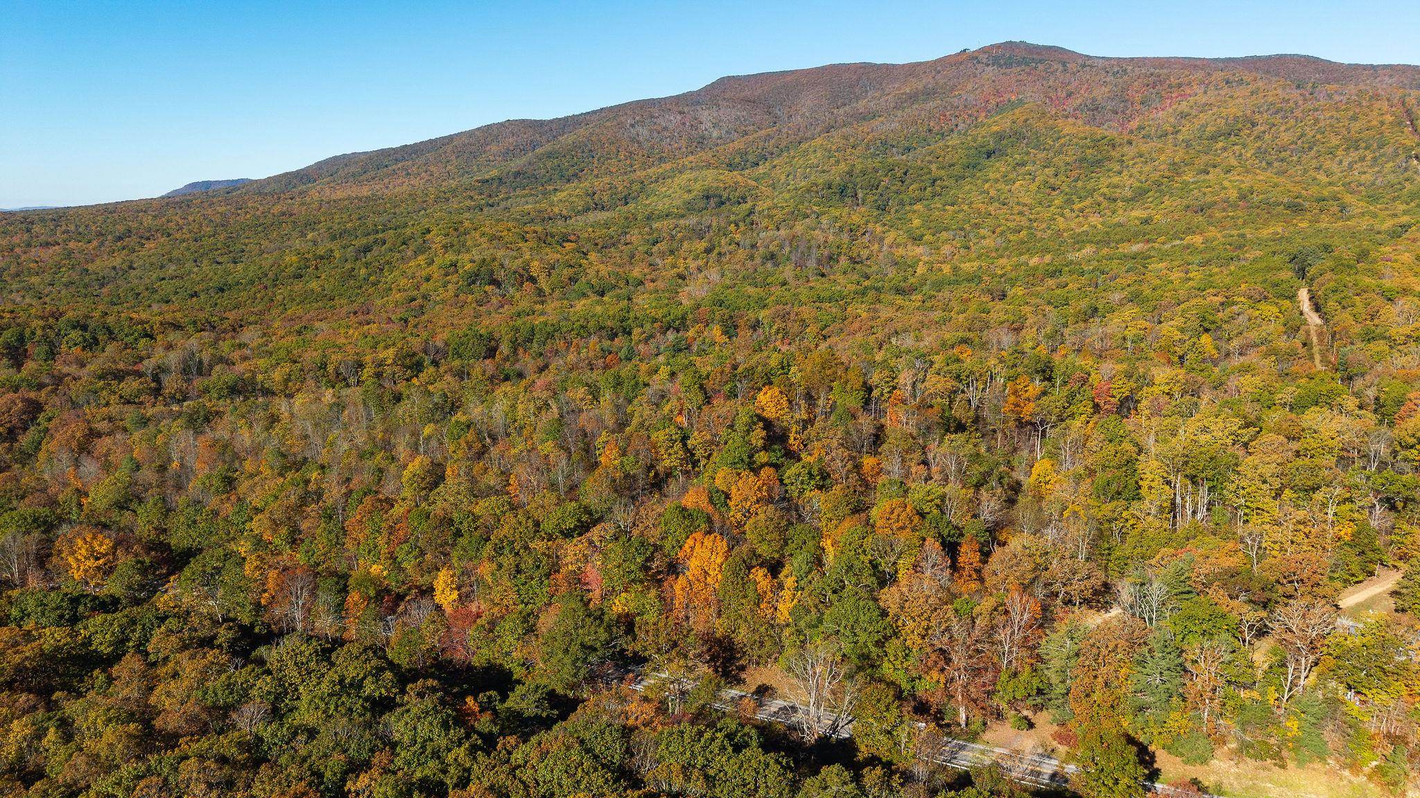 TBD BUFFALO GAP HWY, SWOOPE, Virginia 24479, ,Land,TBD BUFFALO GAP HWY,670158 MLS # 670158