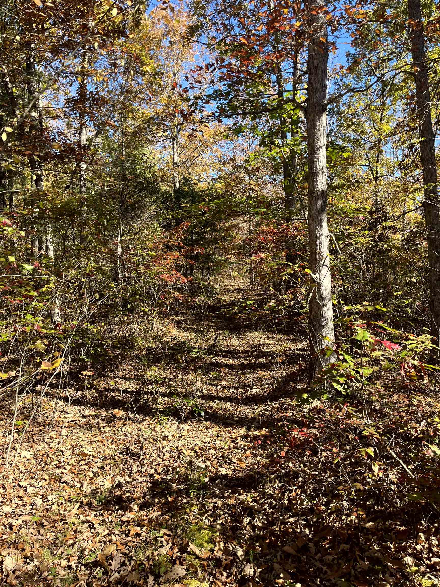 TBD BUFFALO GAP HWY, SWOOPE, Virginia 24479, ,Land,TBD BUFFALO GAP HWY,670158 MLS # 670158