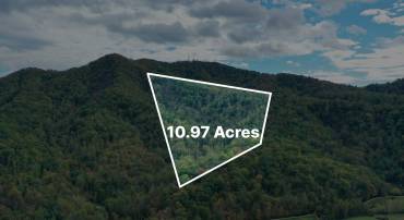 TBD DAVIS CREEK LN, LOVINGSTON, Virginia 22949, ,Land,TBD DAVIS CREEK LN,670180 MLS # 670180