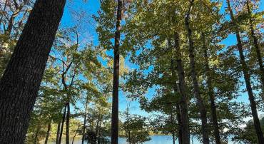 3819 BREAKNOCK RD, BUMPASS, Virginia 23024, ,Land,For sale,3819 BREAKNOCK RD,VASP2036632 MLS # VASP2036632
