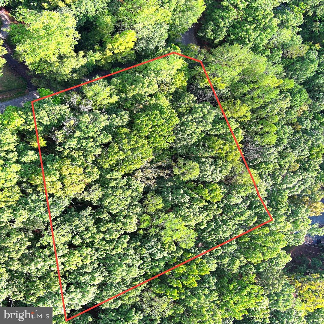 LOT 11 PLEASANTS LN, MINERAL, Virginia 23117, ,Land,For sale,LOT 11 PLEASANTS LN,VALA2008728 MLS # VALA2008728