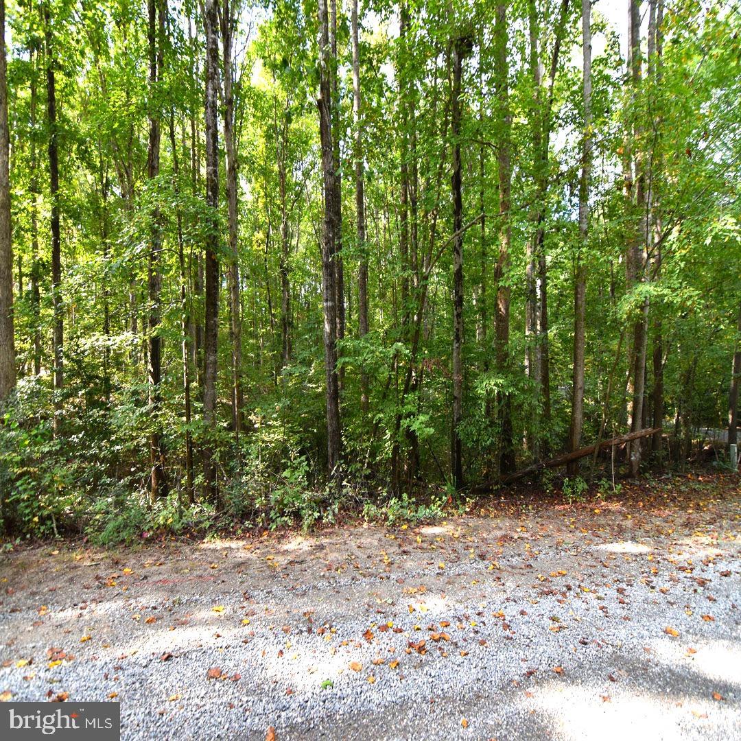 LOT 11 PLEASANTS LN, MINERAL, Virginia 23117, ,Land,For sale,LOT 11 PLEASANTS LN,VALA2008728 MLS # VALA2008728