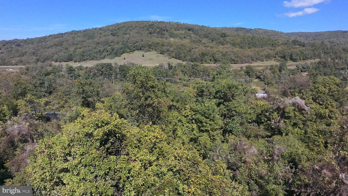 47 NEWTON, LINDEN, Virginia 22642, ,Land,For sale,47 NEWTON,VAWR2012590 MLS # VAWR2012590 47 NEWTON, LINDEN, Virginia 22642, ,Land,For sale,47 NEWTON,VAWR2012590 MLS # VAWR2012590