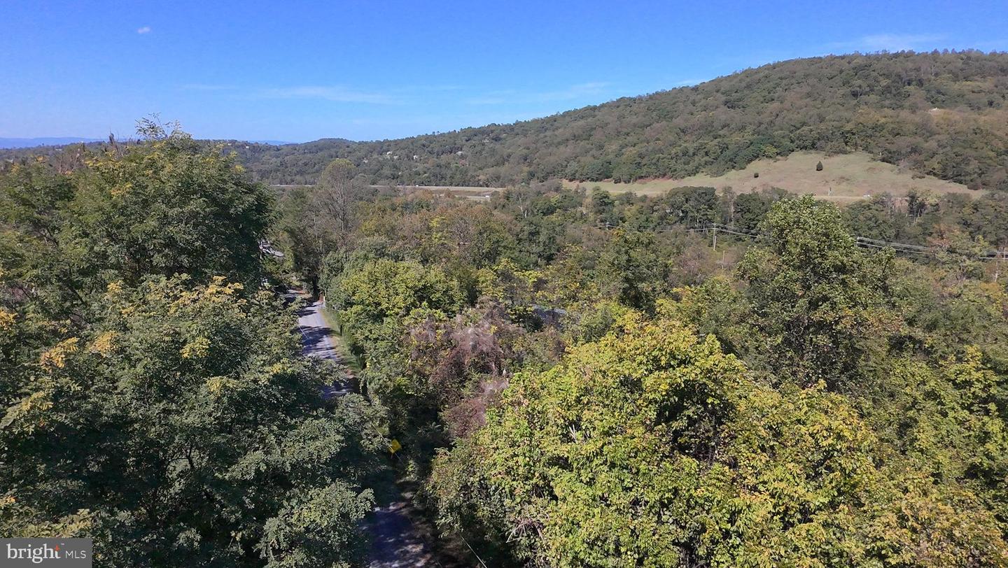 47 NEWTON, LINDEN, Virginia 22642, ,Land,For sale,47 NEWTON,VAWR2012590 MLS # VAWR2012590 47 NEWTON, LINDEN, Virginia 22642, ,Land,For sale,47 NEWTON,VAWR2012590 MLS # VAWR2012590