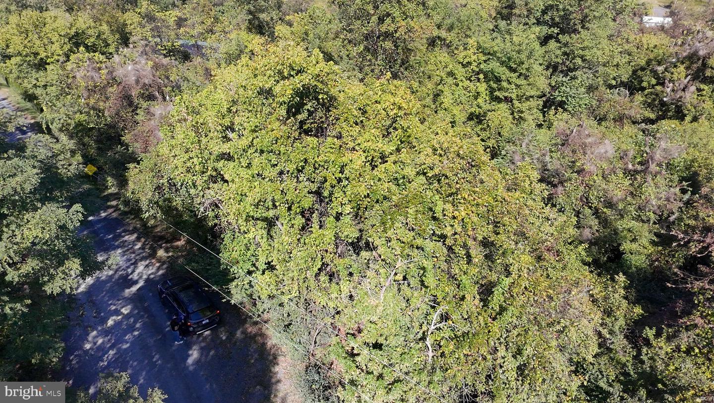 47 NEWTON, LINDEN, Virginia 22642, ,Land,For sale,47 NEWTON,VAWR2012590 MLS # VAWR2012590 47 NEWTON, LINDEN, Virginia 22642, ,Land,For sale,47 NEWTON,VAWR2012590 MLS # VAWR2012590