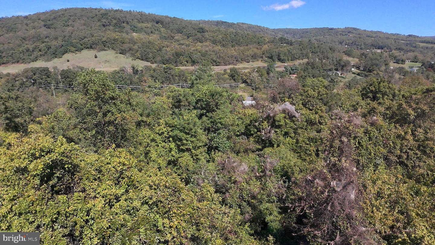 47 NEWTON, LINDEN, Virginia 22642, ,Land,For sale,47 NEWTON,VAWR2012590 MLS # VAWR2012590 47 NEWTON, LINDEN, Virginia 22642, ,Land,For sale,47 NEWTON,VAWR2012590 MLS # VAWR2012590