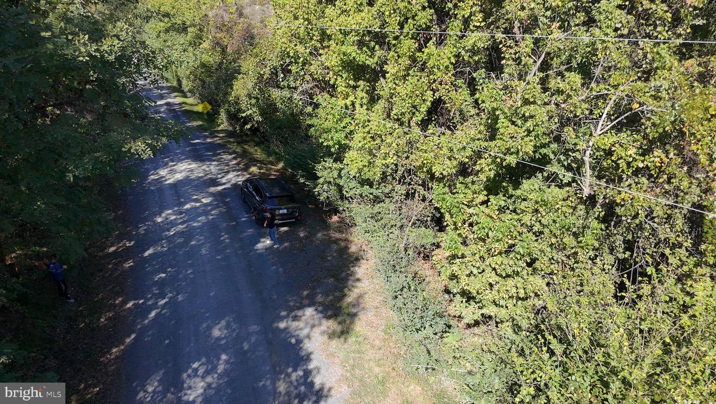 47 NEWTON, LINDEN, Virginia 22642, ,Land,For sale,47 NEWTON,VAWR2012590 MLS # VAWR2012590 47 NEWTON, LINDEN, Virginia 22642, ,Land,For sale,47 NEWTON,VAWR2012590 MLS # VAWR2012590