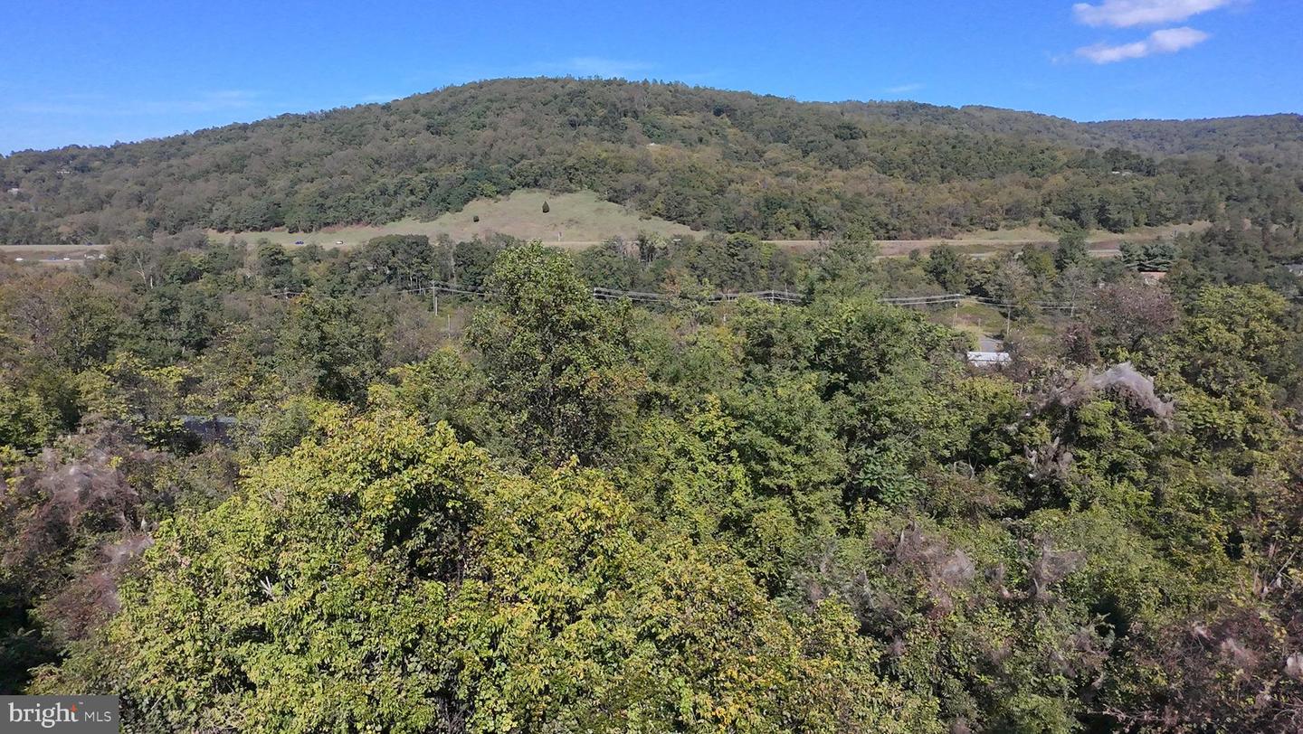 47 NEWTON, LINDEN, Virginia 22642, ,Land,For sale,47 NEWTON,VAWR2012590 MLS # VAWR2012590 47 NEWTON, LINDEN, Virginia 22642, ,Land,For sale,47 NEWTON,VAWR2012590 MLS # VAWR2012590