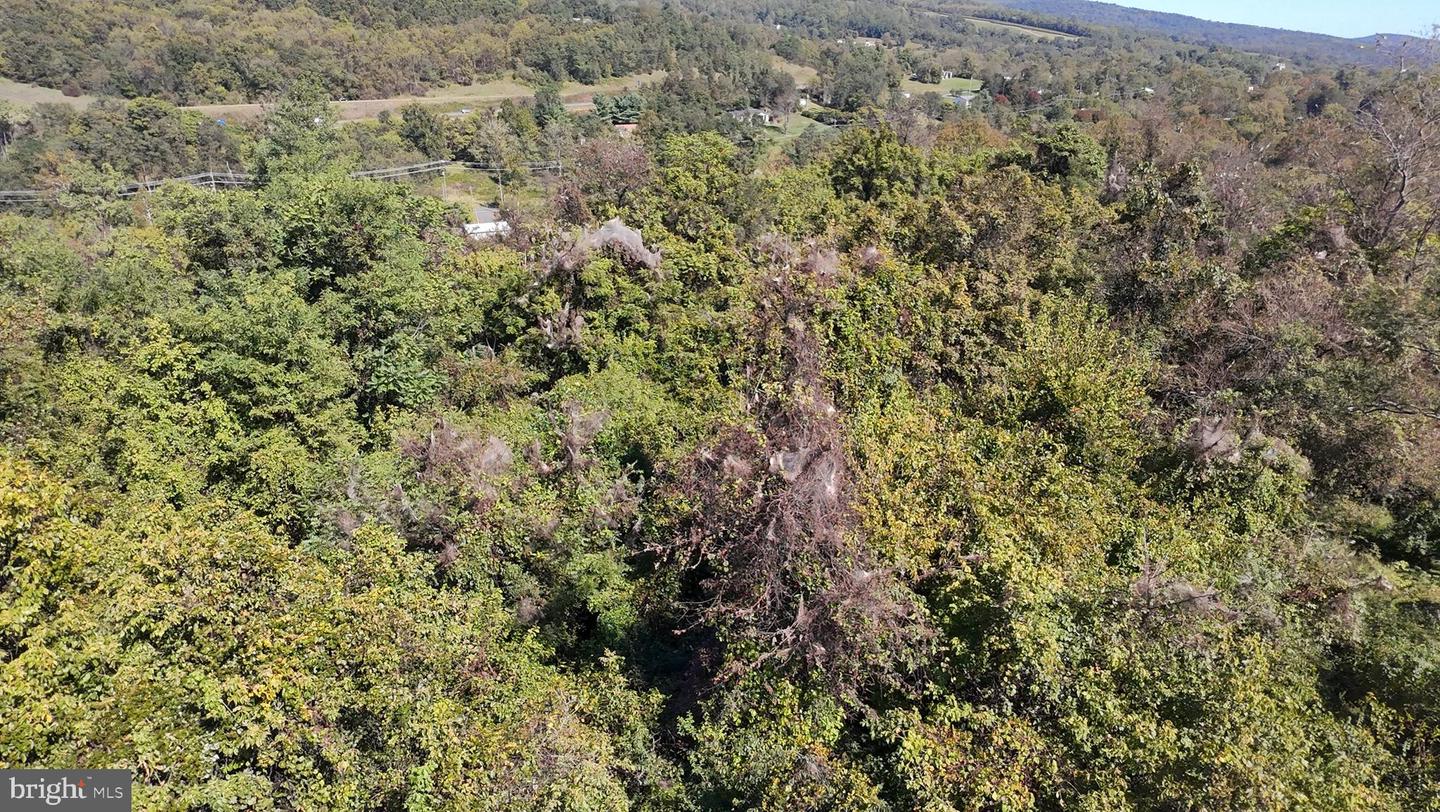 47 NEWTON, LINDEN, Virginia 22642, ,Land,For sale,47 NEWTON,VAWR2012590 MLS # VAWR2012590 47 NEWTON, LINDEN, Virginia 22642, ,Land,For sale,47 NEWTON,VAWR2012590 MLS # VAWR2012590