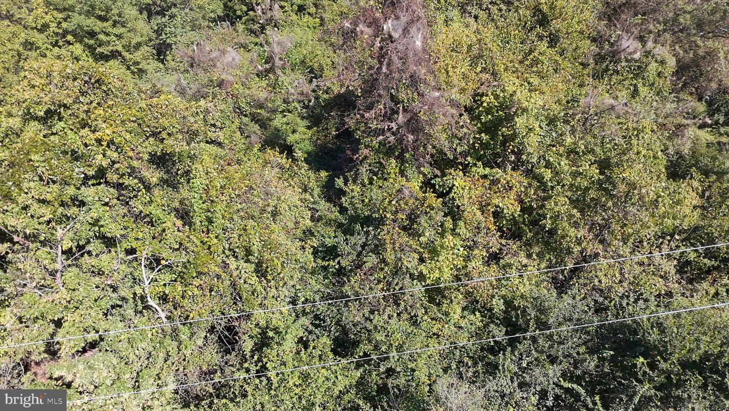 47 NEWTON, LINDEN, Virginia 22642, ,Land,For sale,47 NEWTON,VAWR2012590 MLS # VAWR2012590 47 NEWTON, LINDEN, Virginia 22642, ,Land,For sale,47 NEWTON,VAWR2012590 MLS # VAWR2012590