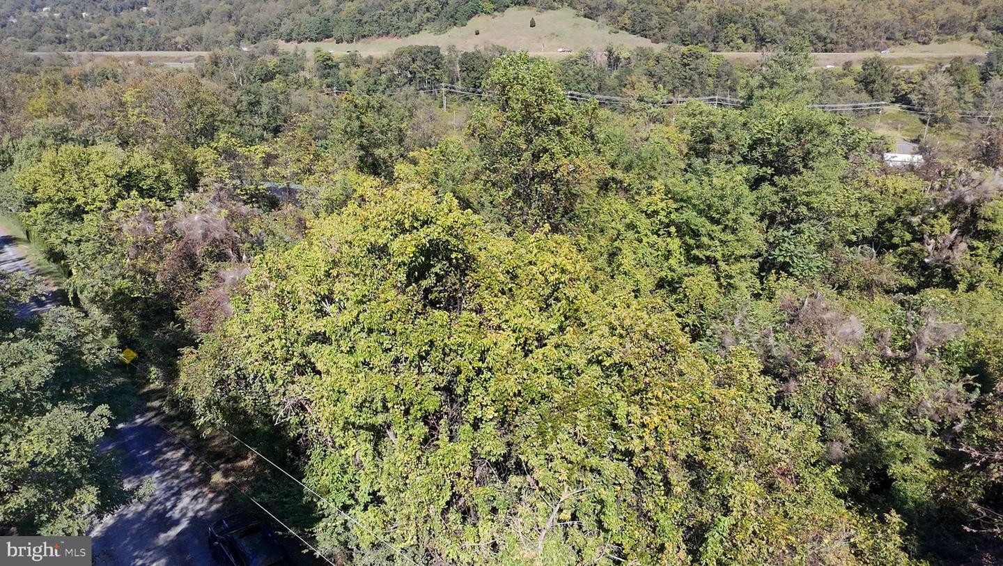 47 NEWTON, LINDEN, Virginia 22642, ,Land,For sale,47 NEWTON,VAWR2012590 MLS # VAWR2012590 47 NEWTON, LINDEN, Virginia 22642, ,Land,For sale,47 NEWTON,VAWR2012590 MLS # VAWR2012590