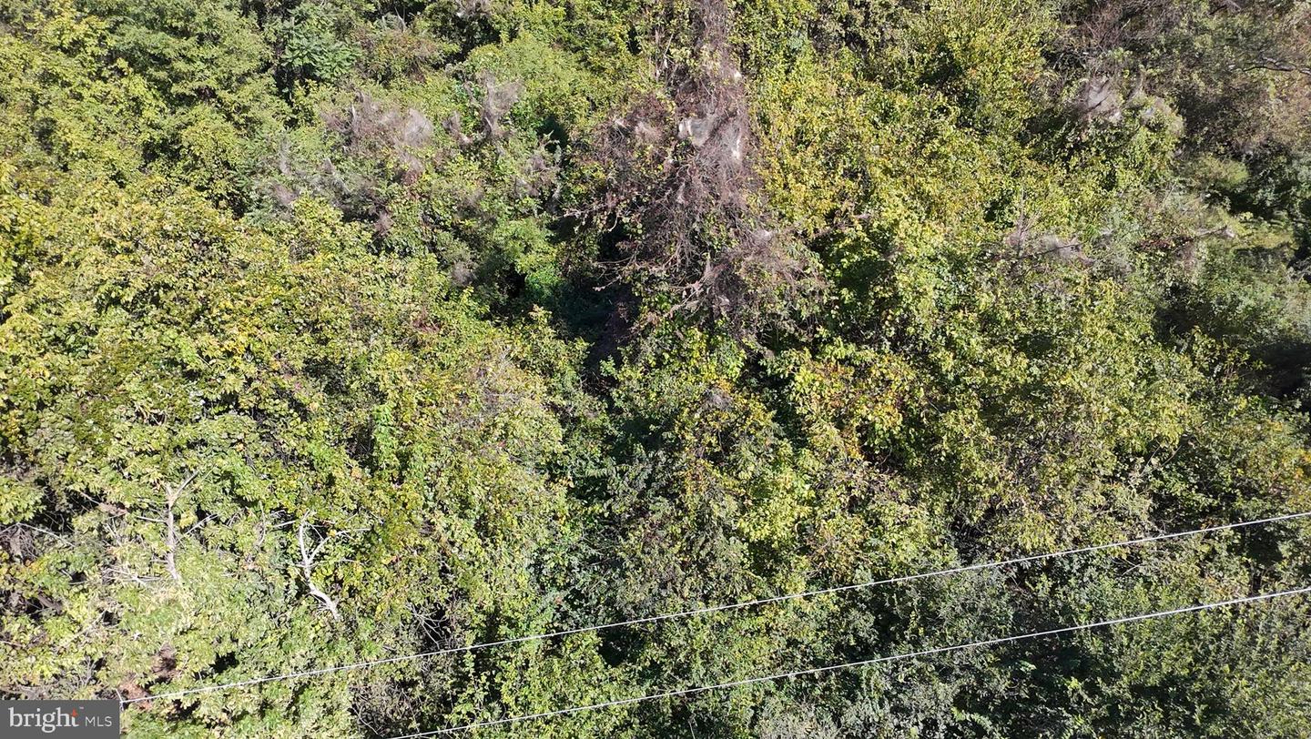 47 NEWTON, LINDEN, Virginia 22642, ,Land,For sale,47 NEWTON,VAWR2012590 MLS # VAWR2012590 47 NEWTON, LINDEN, Virginia 22642, ,Land,For sale,47 NEWTON,VAWR2012590 MLS # VAWR2012590