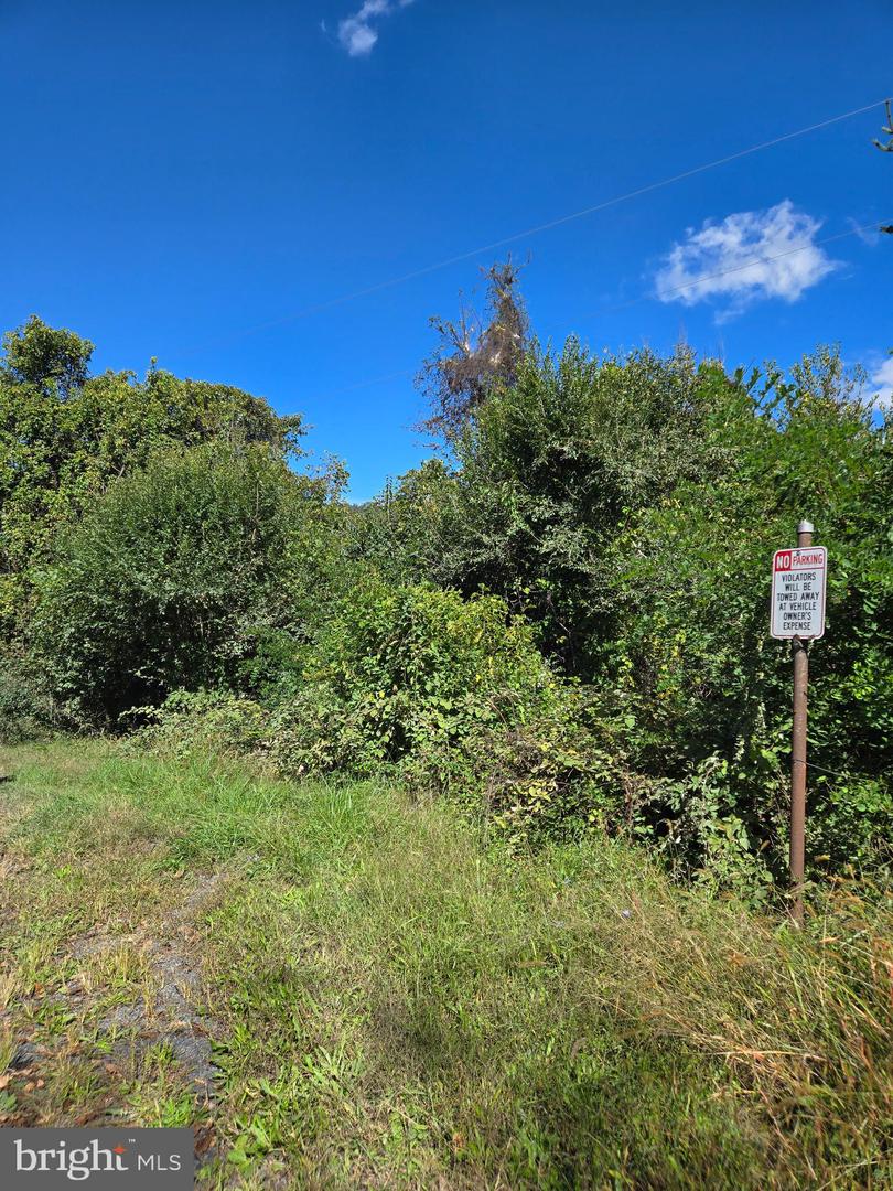 47 NEWTON, LINDEN, Virginia 22642, ,Land,For sale,47 NEWTON,VAWR2012590 MLS # VAWR2012590 47 NEWTON, LINDEN, Virginia 22642, ,Land,For sale,47 NEWTON,VAWR2012590 MLS # VAWR2012590