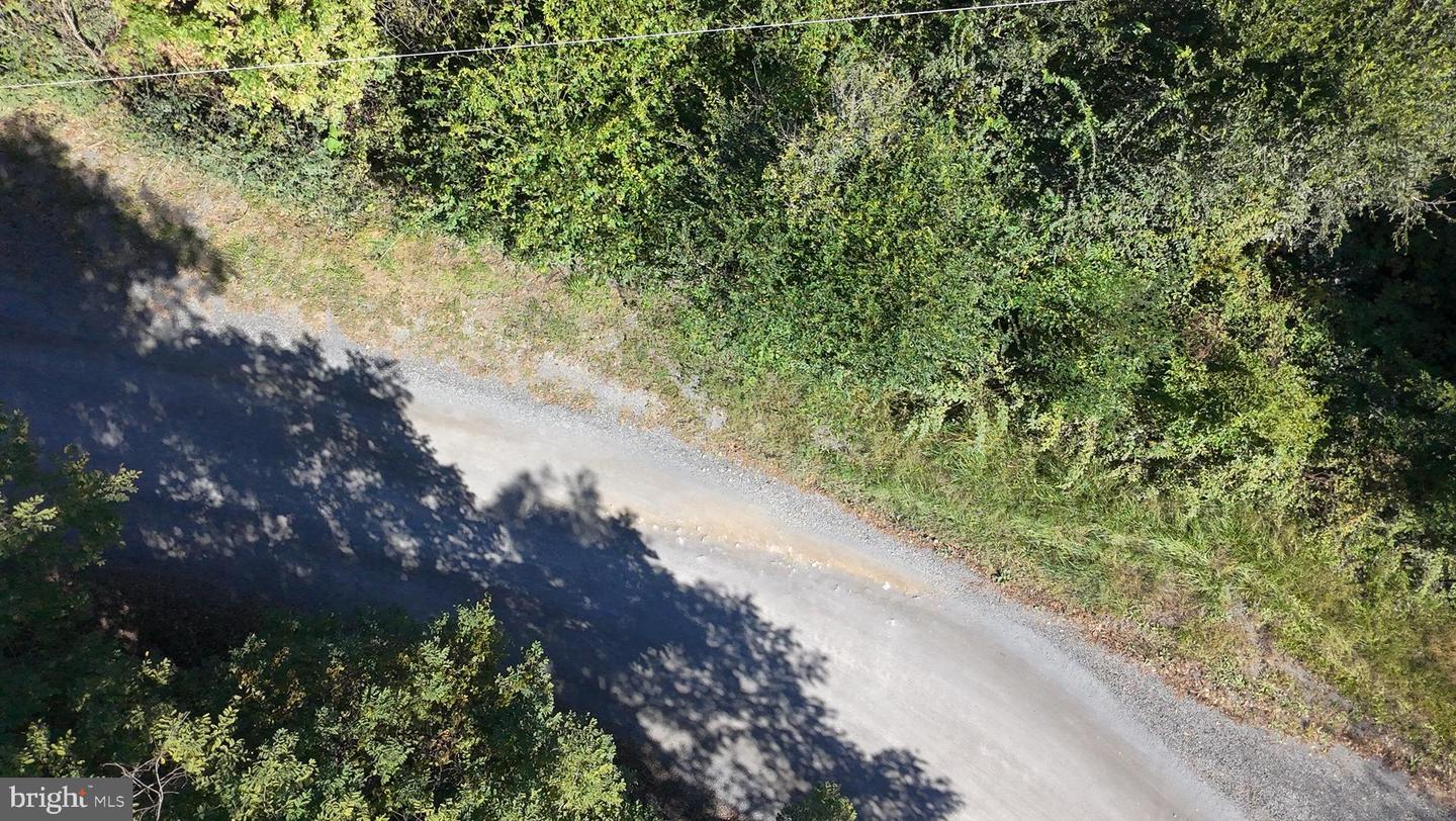 47 NEWTON, LINDEN, Virginia 22642, ,Land,For sale,47 NEWTON,VAWR2012590 MLS # VAWR2012590 47 NEWTON, LINDEN, Virginia 22642, ,Land,For sale,47 NEWTON,VAWR2012590 MLS # VAWR2012590