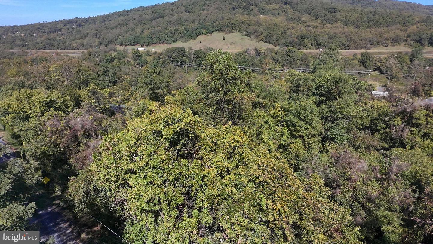 47 NEWTON, LINDEN, Virginia 22642, ,Land,For sale,47 NEWTON,VAWR2012590 MLS # VAWR2012590 47 NEWTON, LINDEN, Virginia 22642, ,Land,For sale,47 NEWTON,VAWR2012590 MLS # VAWR2012590