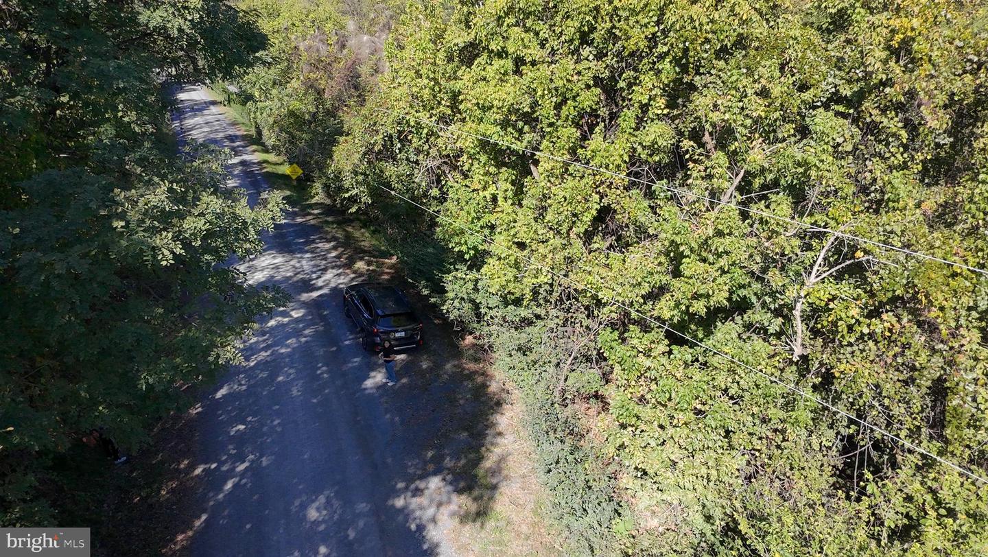 47 NEWTON, LINDEN, Virginia 22642, ,Land,For sale,47 NEWTON,VAWR2012590 MLS # VAWR2012590 47 NEWTON, LINDEN, Virginia 22642, ,Land,For sale,47 NEWTON,VAWR2012590 MLS # VAWR2012590