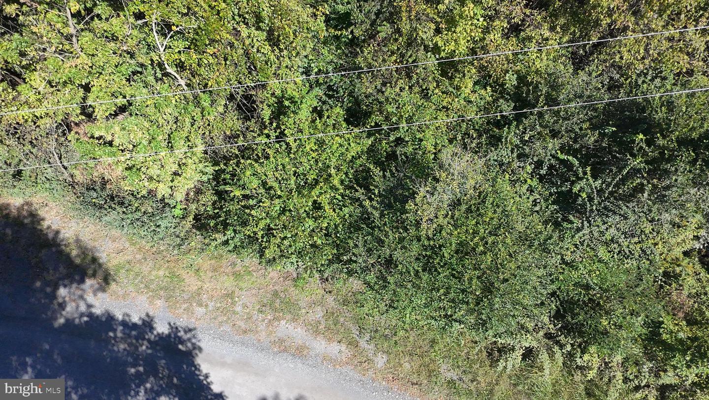 47 NEWTON, LINDEN, Virginia 22642, ,Land,For sale,47 NEWTON,VAWR2012590 MLS # VAWR2012590 47 NEWTON, LINDEN, Virginia 22642, ,Land,For sale,47 NEWTON,VAWR2012590 MLS # VAWR2012590