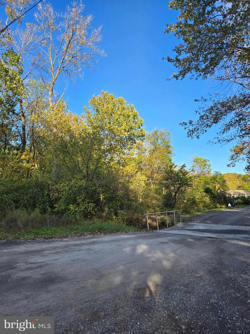 47 NEWTON, LINDEN, Virginia 22642, ,Land,For sale,47 NEWTON,VAWR2012590 MLS # VAWR2012590 47 NEWTON, LINDEN, Virginia 22642, ,Land,For sale,47 NEWTON,VAWR2012590 MLS # VAWR2012590