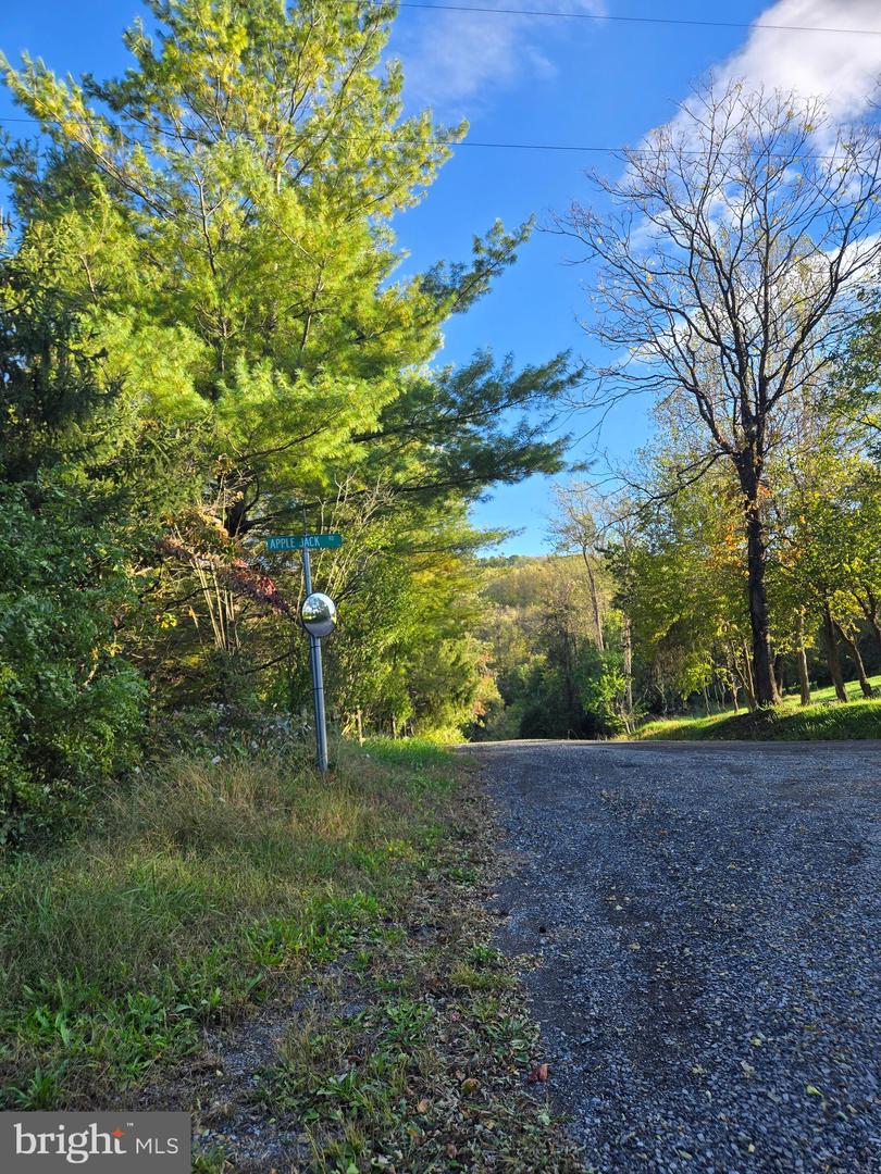 47 NEWTON, LINDEN, Virginia 22642, ,Land,For sale,47 NEWTON,VAWR2012590 MLS # VAWR2012590 47 NEWTON, LINDEN, Virginia 22642, ,Land,For sale,47 NEWTON,VAWR2012590 MLS # VAWR2012590