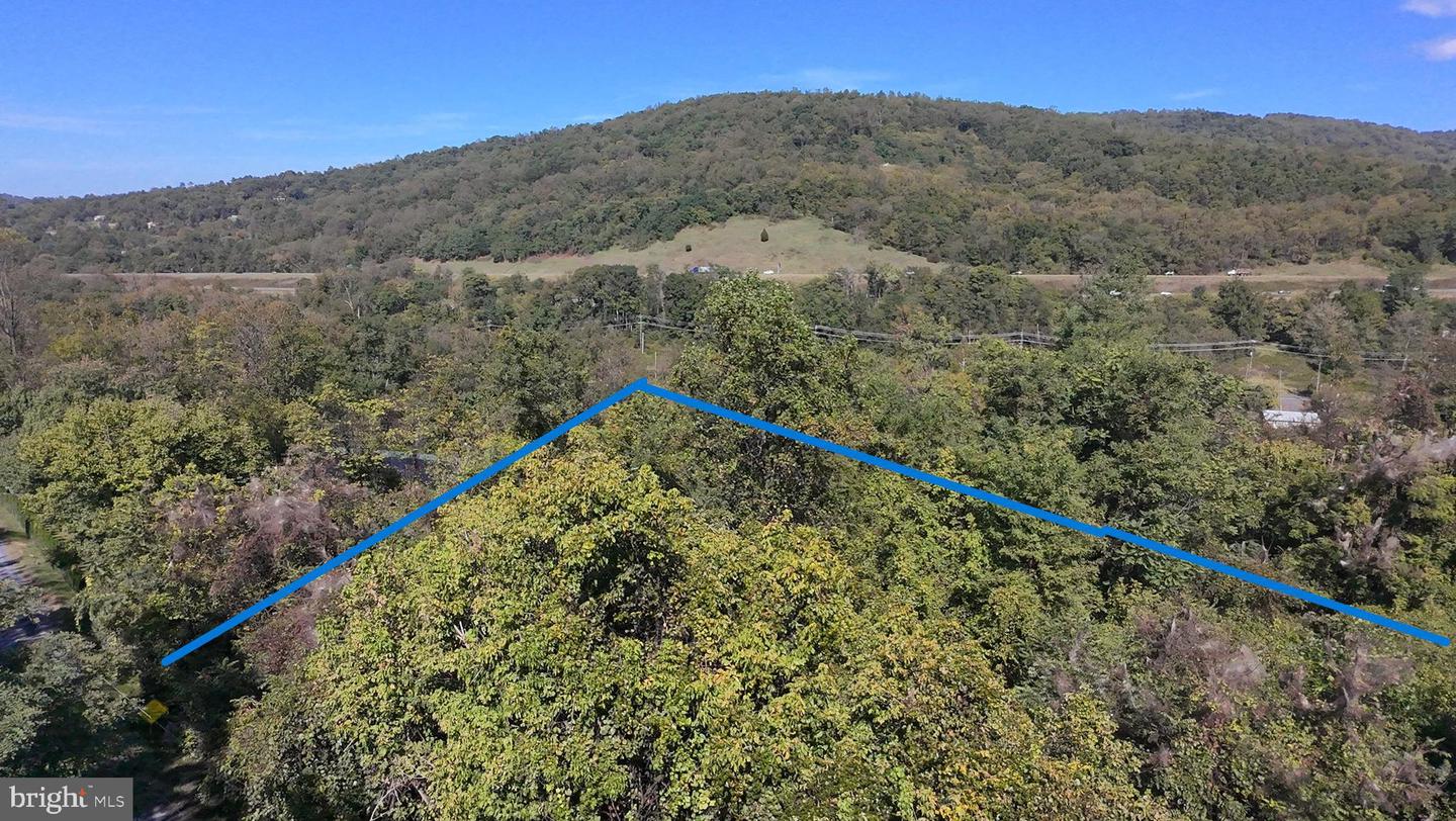 47 NEWTON, LINDEN, Virginia 22642, ,Land,For sale,47 NEWTON,VAWR2012590 MLS # VAWR2012590 47 NEWTON, LINDEN, Virginia 22642, ,Land,For sale,47 NEWTON,VAWR2012590 MLS # VAWR2012590