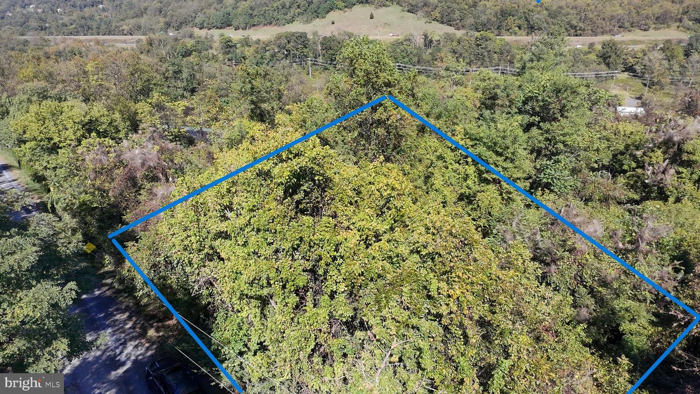 47 NEWTON, LINDEN, Virginia 22642, ,Land,For sale,47 NEWTON,VAWR2012590 MLS # VAWR2012590 47 NEWTON, LINDEN, Virginia 22642, ,Land,For sale,47 NEWTON,VAWR2012590 MLS # VAWR2012590