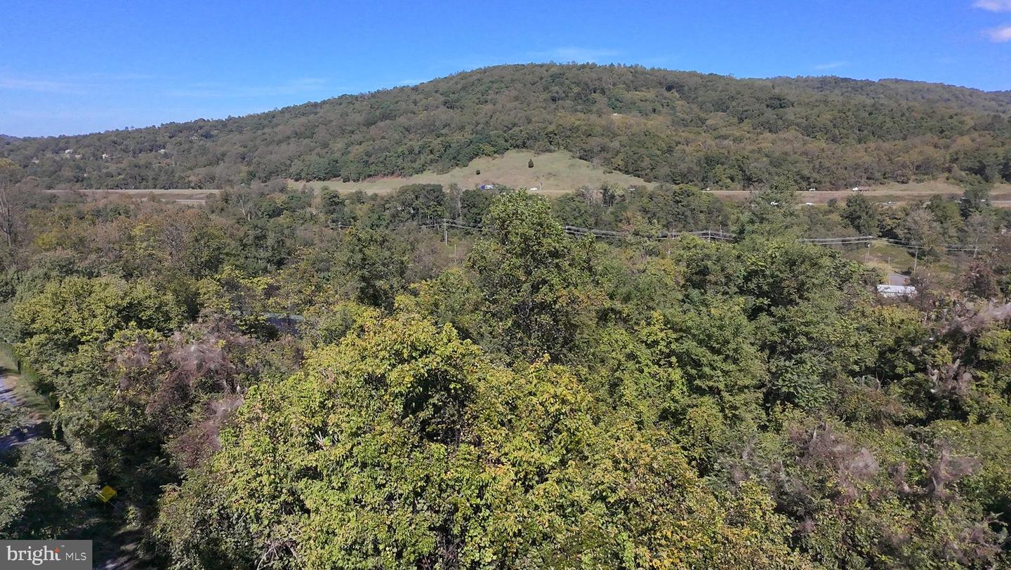 47 NEWTON, LINDEN, Virginia 22642, ,Land,For sale,47 NEWTON,VAWR2012590 MLS # VAWR2012590 47 NEWTON, LINDEN, Virginia 22642, ,Land,For sale,47 NEWTON,VAWR2012590 MLS # VAWR2012590