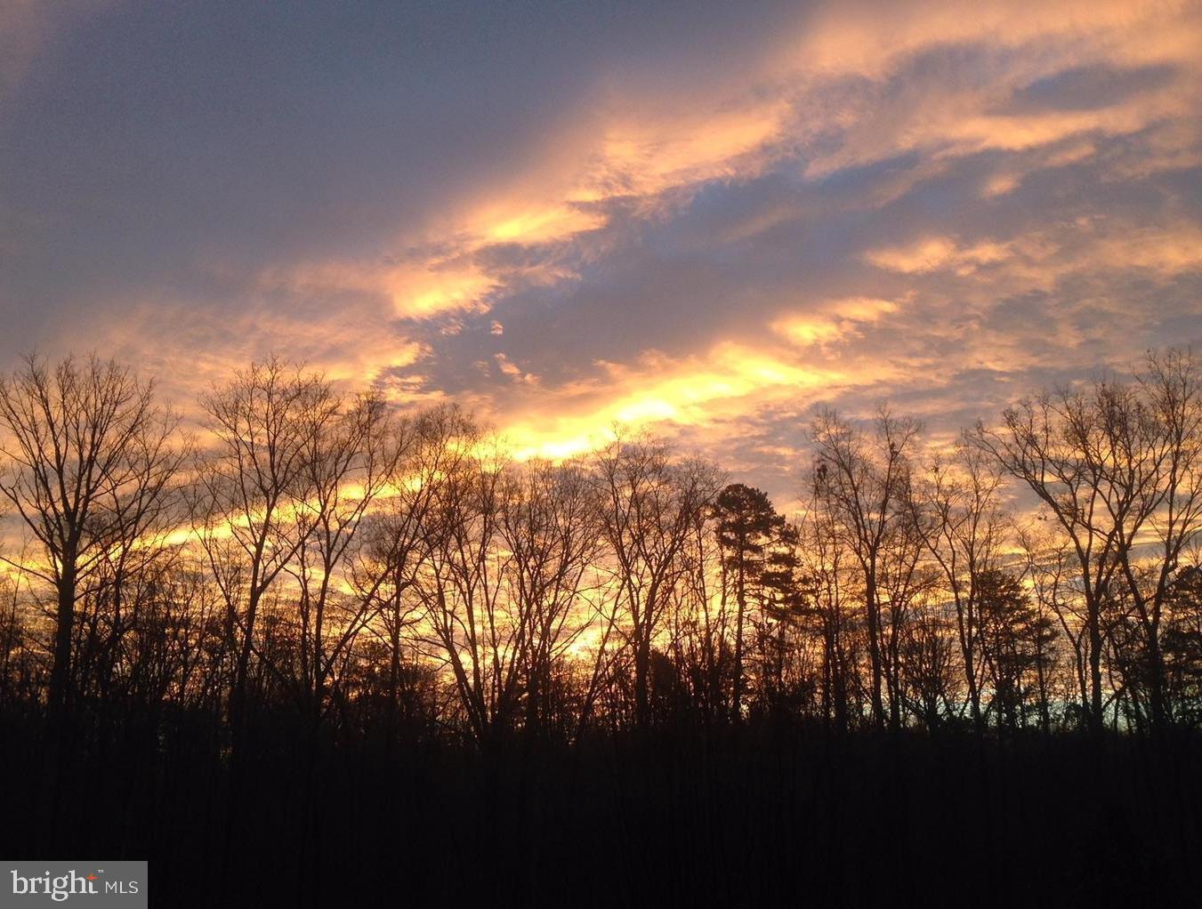REVA, REVA, Virginia 22735, ,Land,For sale,REVA,VACU2011830 MLS # VACU2011830