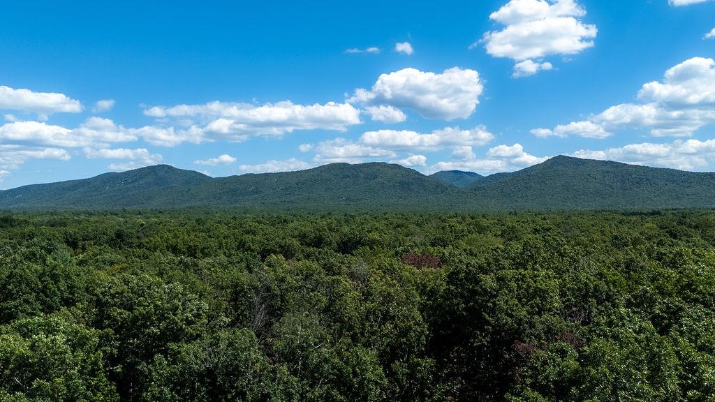 13711 SOUTH EAST SIDE HWY, PORT REPUBLIC, Virginia 24471, 3 Bedrooms Bedrooms, ,2 BathroomsBathrooms,Residential,13711 SOUTH EAST SIDE HWY,670173 MLS # 670173