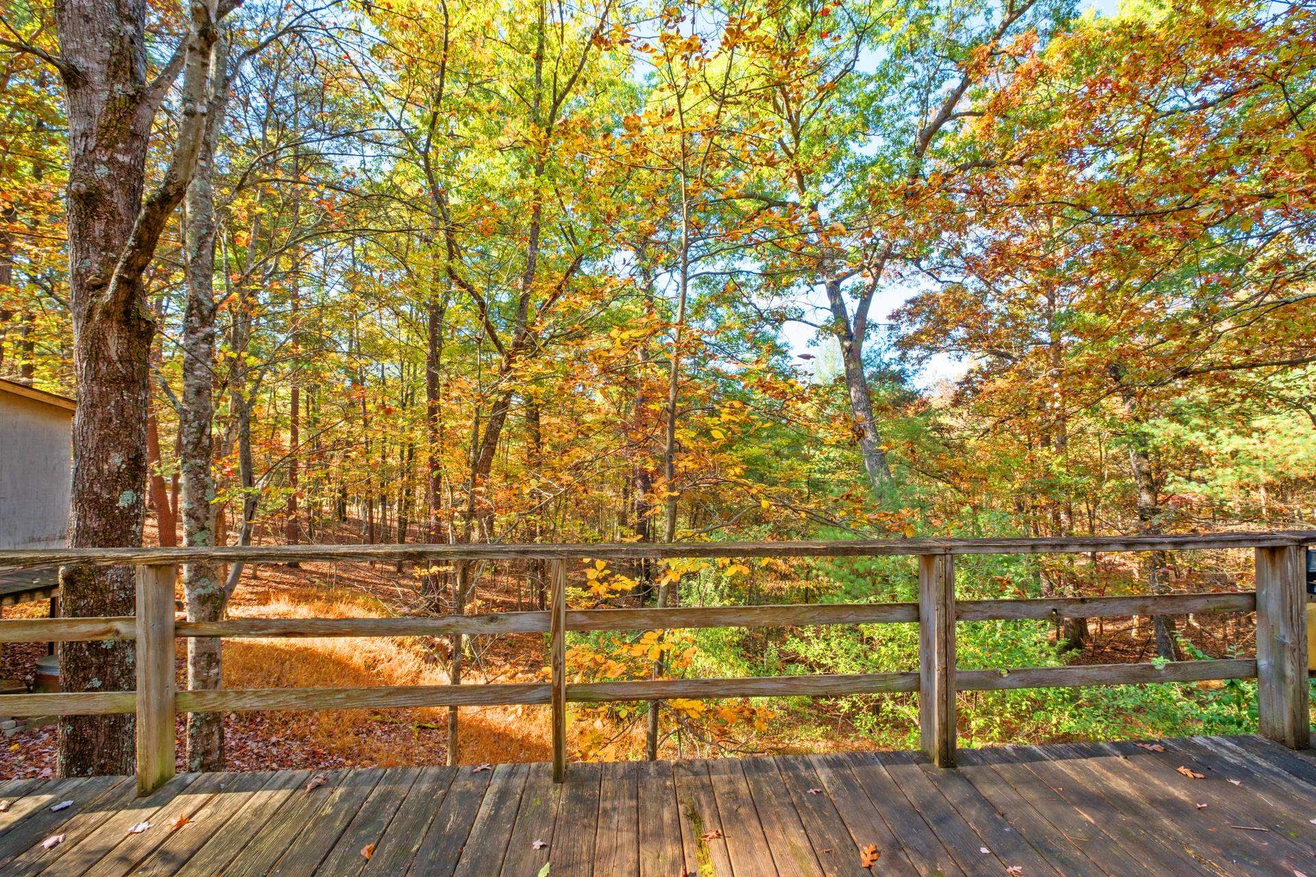 16313 MOONRISE LN, BROADWAY, Virginia 22815, 2 Bedrooms Bedrooms, ,1 BathroomBathrooms,Residential,16313 MOONRISE LN,670178 MLS # 670178