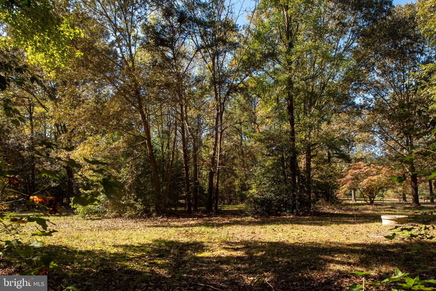 9335 JOYCE LN, MECHANICSVILLE, Virginia 23116, 4 Bedrooms Bedrooms, ,2 BathroomsBathrooms,Residential,For sale,9335 JOYCE LN,VAHA2001078 MLS # VAHA2001078