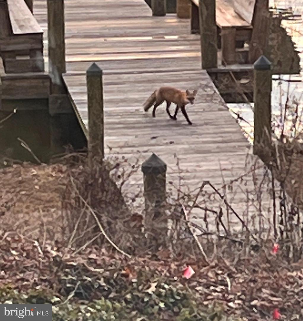 8352 ORANGE CT, ALEXANDRIA, Virginia 22309, 4 Bedrooms Bedrooms, ,2 BathroomsBathrooms,Residential,For sale,8352 ORANGE CT,VAFX2272502 MLS # VAFX2272502