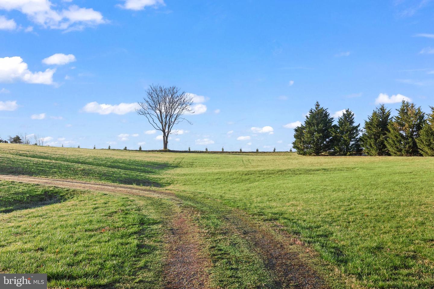 6602 SUNRISE BAY DR, MINERAL, Virginia 23117, ,Land,For sale,6602 SUNRISE BAY DR,VASP2031684 MLS # VASP2031684