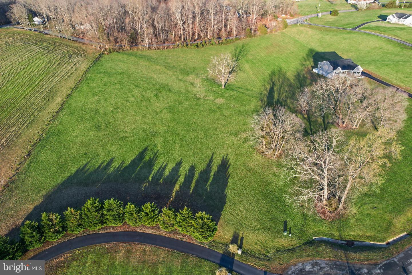 6602 SUNRISE BAY DR, MINERAL, Virginia 23117, ,Land,For sale,6602 SUNRISE BAY DR,VASP2031684 MLS # VASP2031684