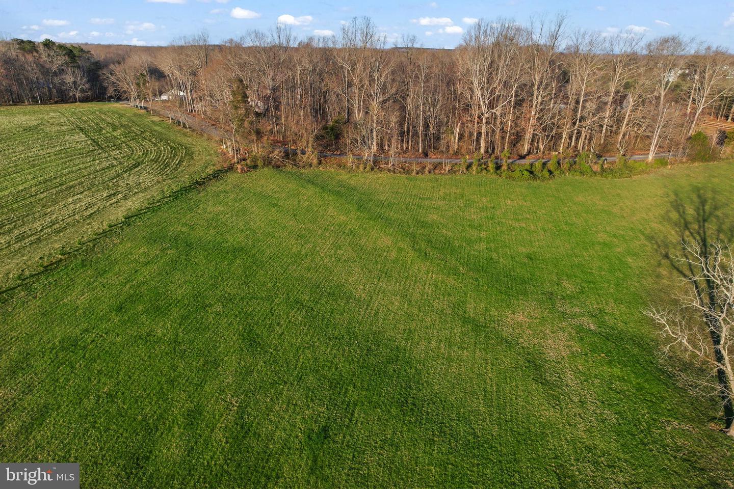6602 SUNRISE BAY DR, MINERAL, Virginia 23117, ,Land,For sale,6602 SUNRISE BAY DR,VASP2031684 MLS # VASP2031684