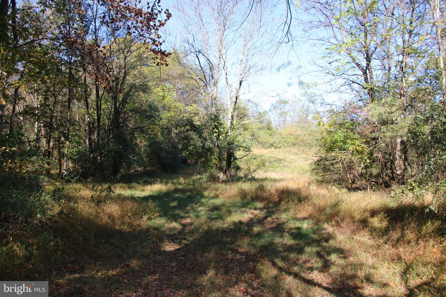 598 TUCKAHOE LN, WINCHESTER, Virginia 22602, ,Farm,For sale,598 TUCKAHOE LN,VAFV2037258 MLS # VAFV2037258