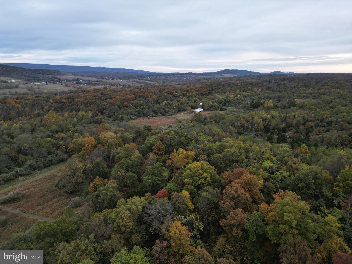 598 TUCKAHOE LN, WINCHESTER, Virginia 22602, ,Farm,For sale,598 TUCKAHOE LN,VAFV2037258 MLS # VAFV2037258