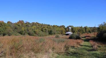 598 TUCKAHOE LN, WINCHESTER, Virginia 22602, ,Farm,For sale,598 TUCKAHOE LN,VAFV2037258 MLS # VAFV2037258