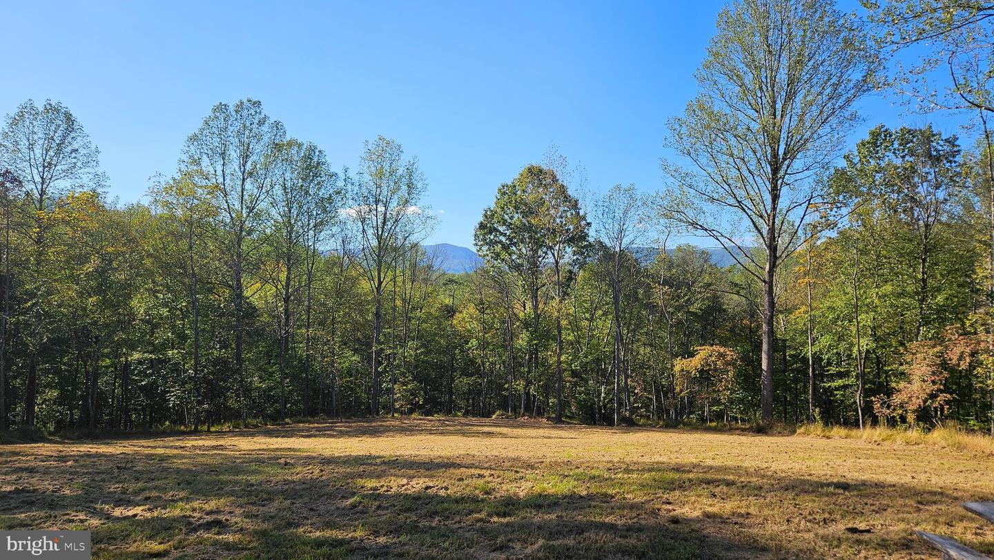 0 SHARP ROCK ROAD, SPERRYVILLE, Virginia 22740, ,Land,For sale,0 SHARP ROCK ROAD,VARP2002336 MLS # VARP2002336