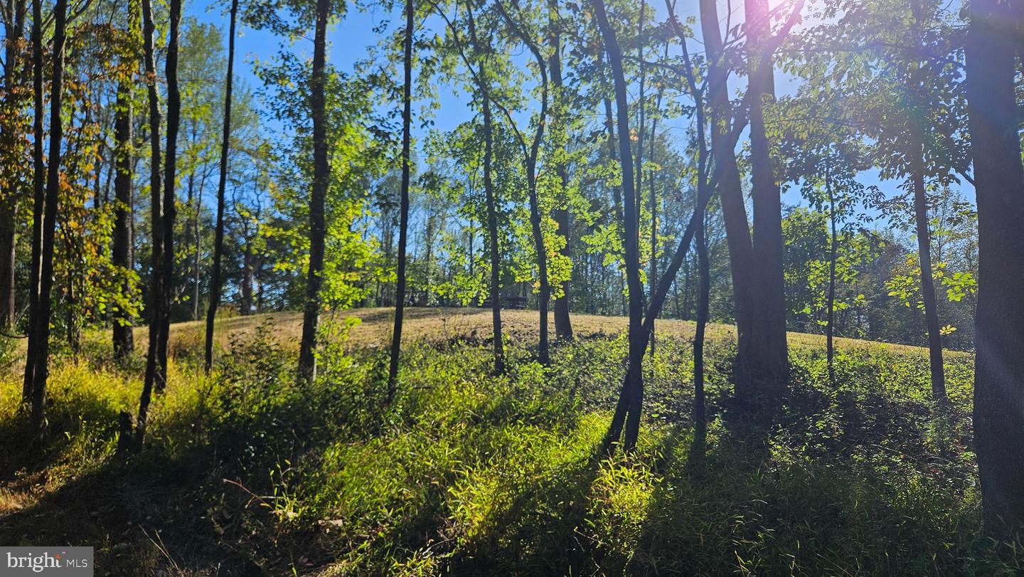 0 SHARP ROCK ROAD, SPERRYVILLE, Virginia 22740, ,Land,For sale,0 SHARP ROCK ROAD,VARP2002336 MLS # VARP2002336