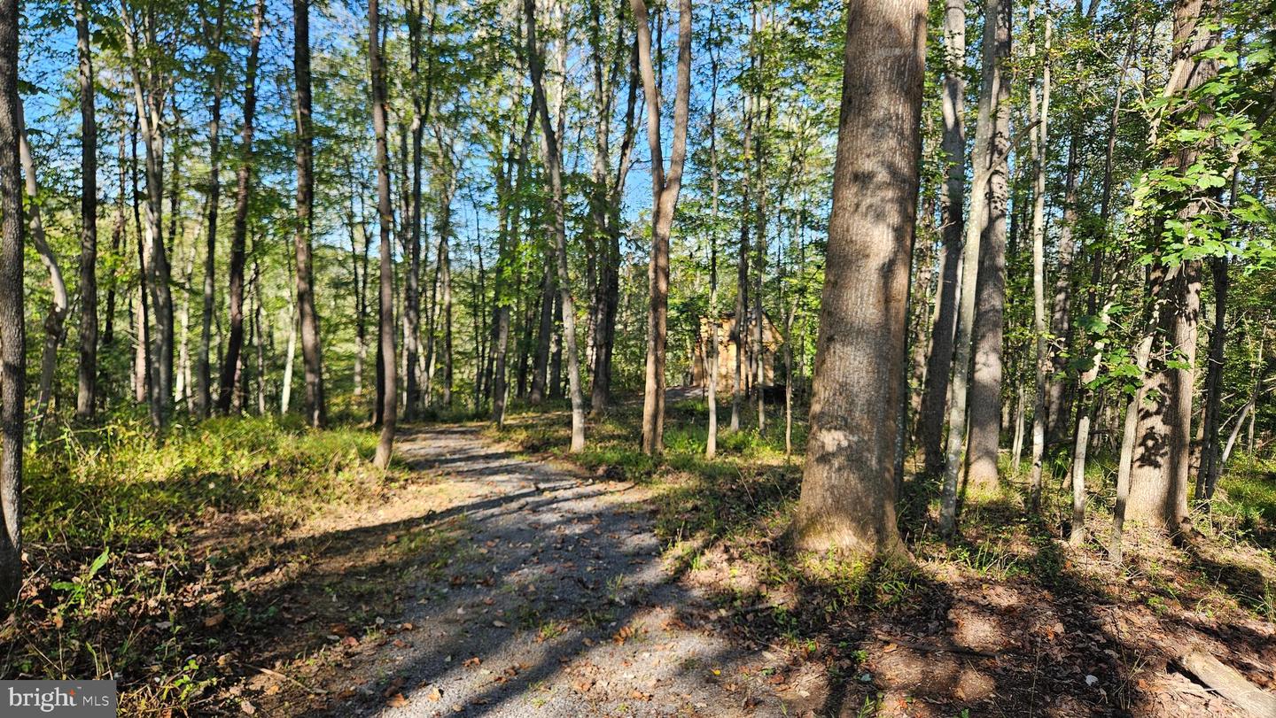 0 SHARP ROCK ROAD, SPERRYVILLE, Virginia 22740, ,Land,For sale,0 SHARP ROCK ROAD,VARP2002336 MLS # VARP2002336