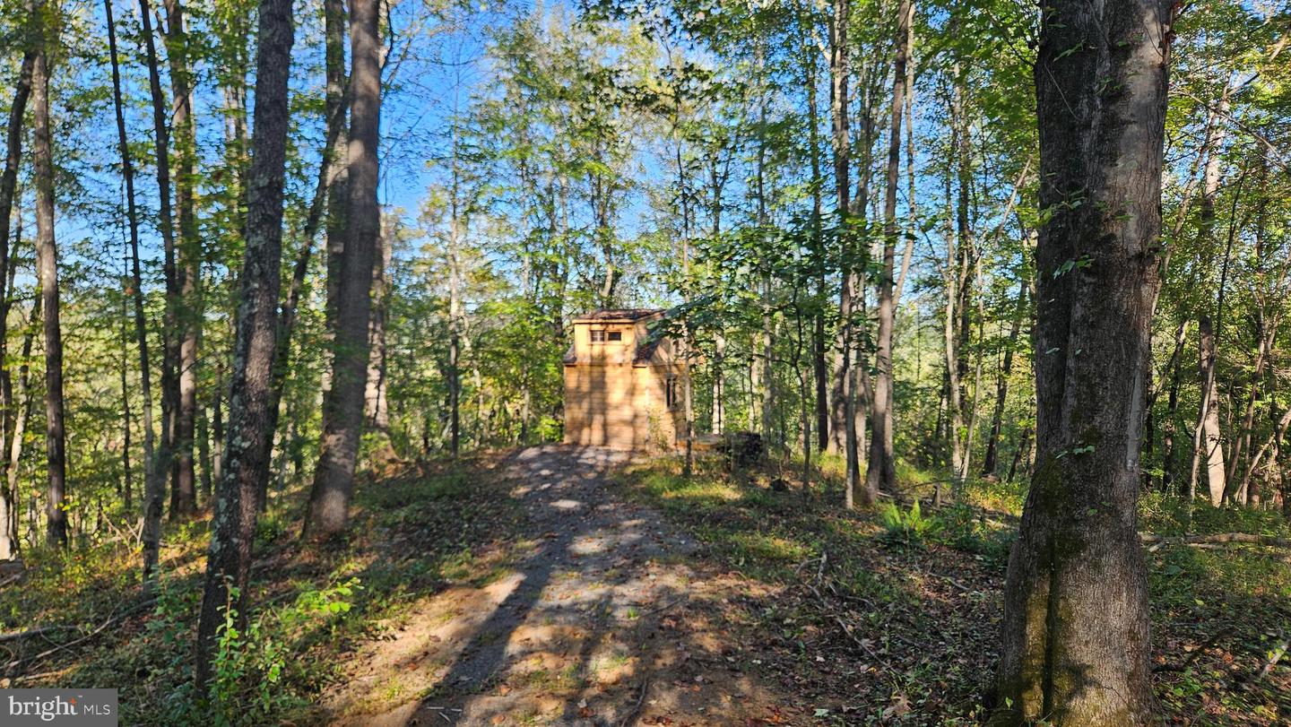 0 SHARP ROCK ROAD, SPERRYVILLE, Virginia 22740, ,Land,For sale,0 SHARP ROCK ROAD,VARP2002336 MLS # VARP2002336