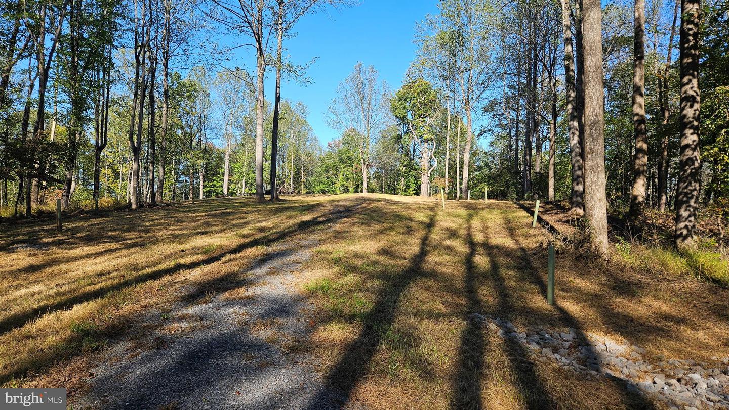 0 SHARP ROCK ROAD, SPERRYVILLE, Virginia 22740, ,Land,For sale,0 SHARP ROCK ROAD,VARP2002336 MLS # VARP2002336