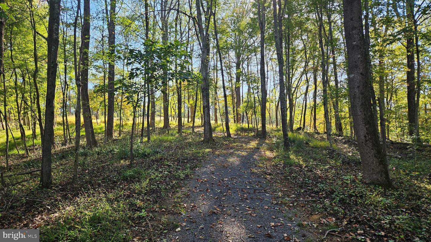 0 SHARP ROCK ROAD, SPERRYVILLE, Virginia 22740, ,Land,For sale,0 SHARP ROCK ROAD,VARP2002336 MLS # VARP2002336