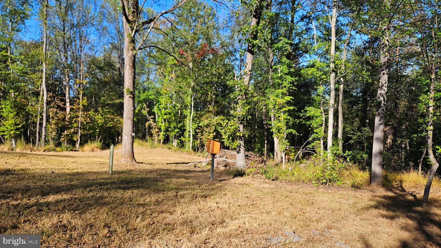 0 SHARP ROCK ROAD, SPERRYVILLE, Virginia 22740, ,Land,For sale,0 SHARP ROCK ROAD,VARP2002336 MLS # VARP2002336