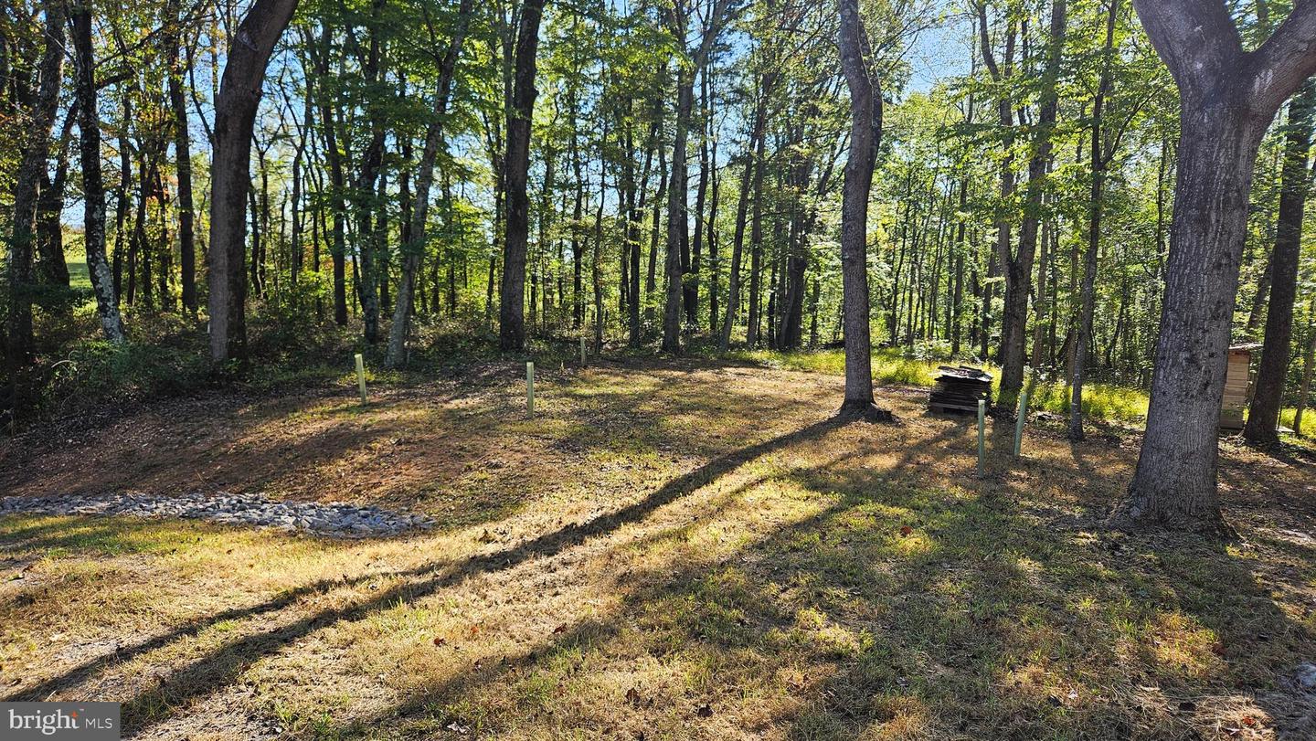 0 SHARP ROCK ROAD, SPERRYVILLE, Virginia 22740, ,Land,For sale,0 SHARP ROCK ROAD,VARP2002336 MLS # VARP2002336