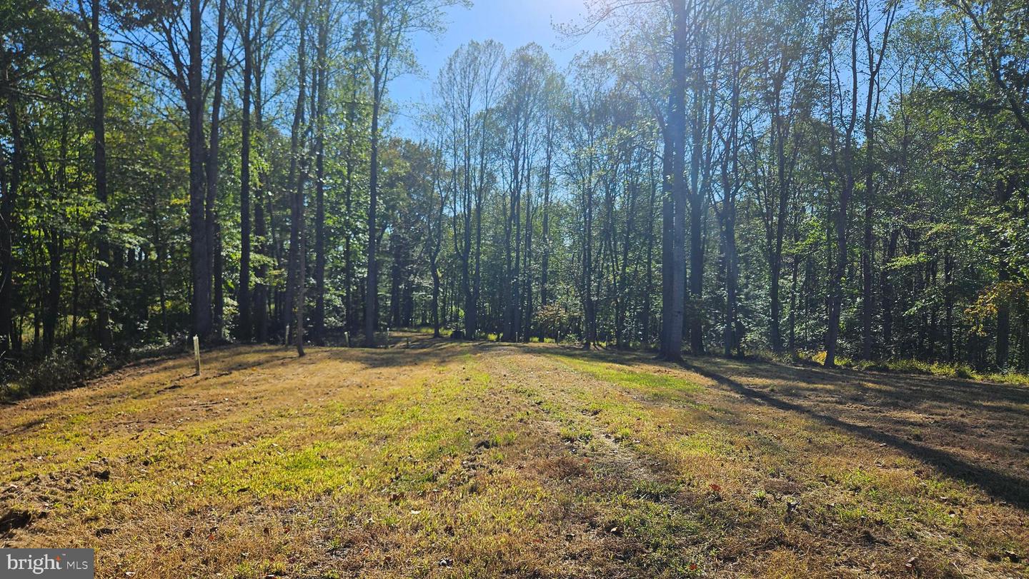 0 SHARP ROCK ROAD, SPERRYVILLE, Virginia 22740, ,Land,For sale,0 SHARP ROCK ROAD,VARP2002336 MLS # VARP2002336