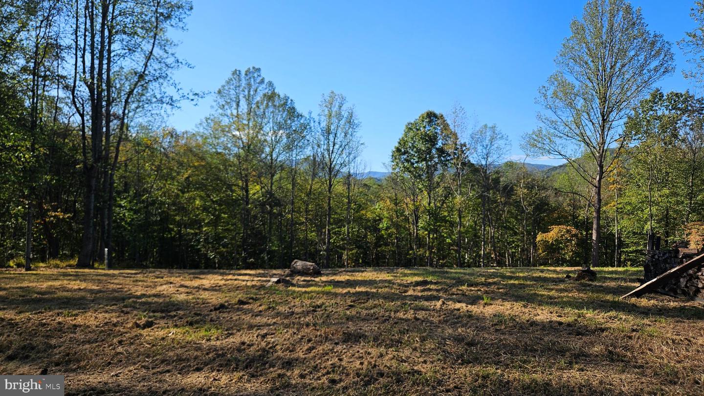 0 SHARP ROCK ROAD, SPERRYVILLE, Virginia 22740, ,Land,For sale,0 SHARP ROCK ROAD,VARP2002336 MLS # VARP2002336