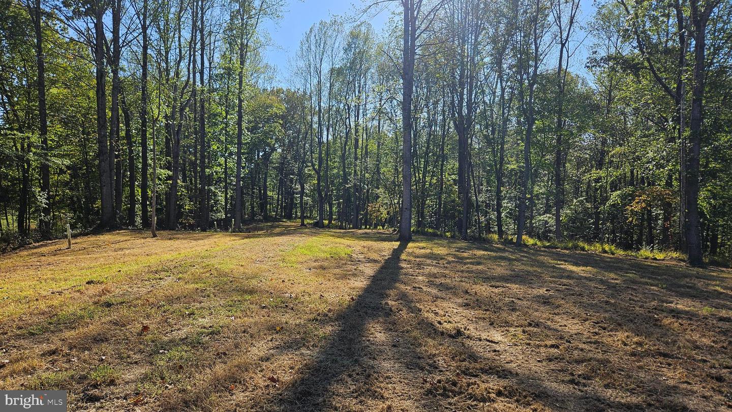 0 SHARP ROCK ROAD, SPERRYVILLE, Virginia 22740, ,Land,For sale,0 SHARP ROCK ROAD,VARP2002336 MLS # VARP2002336