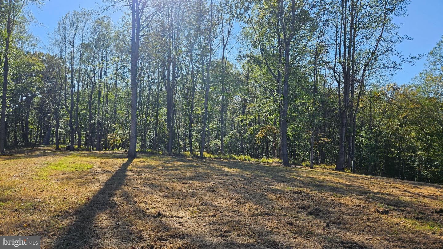 0 SHARP ROCK ROAD, SPERRYVILLE, Virginia 22740, ,Land,For sale,0 SHARP ROCK ROAD,VARP2002336 MLS # VARP2002336