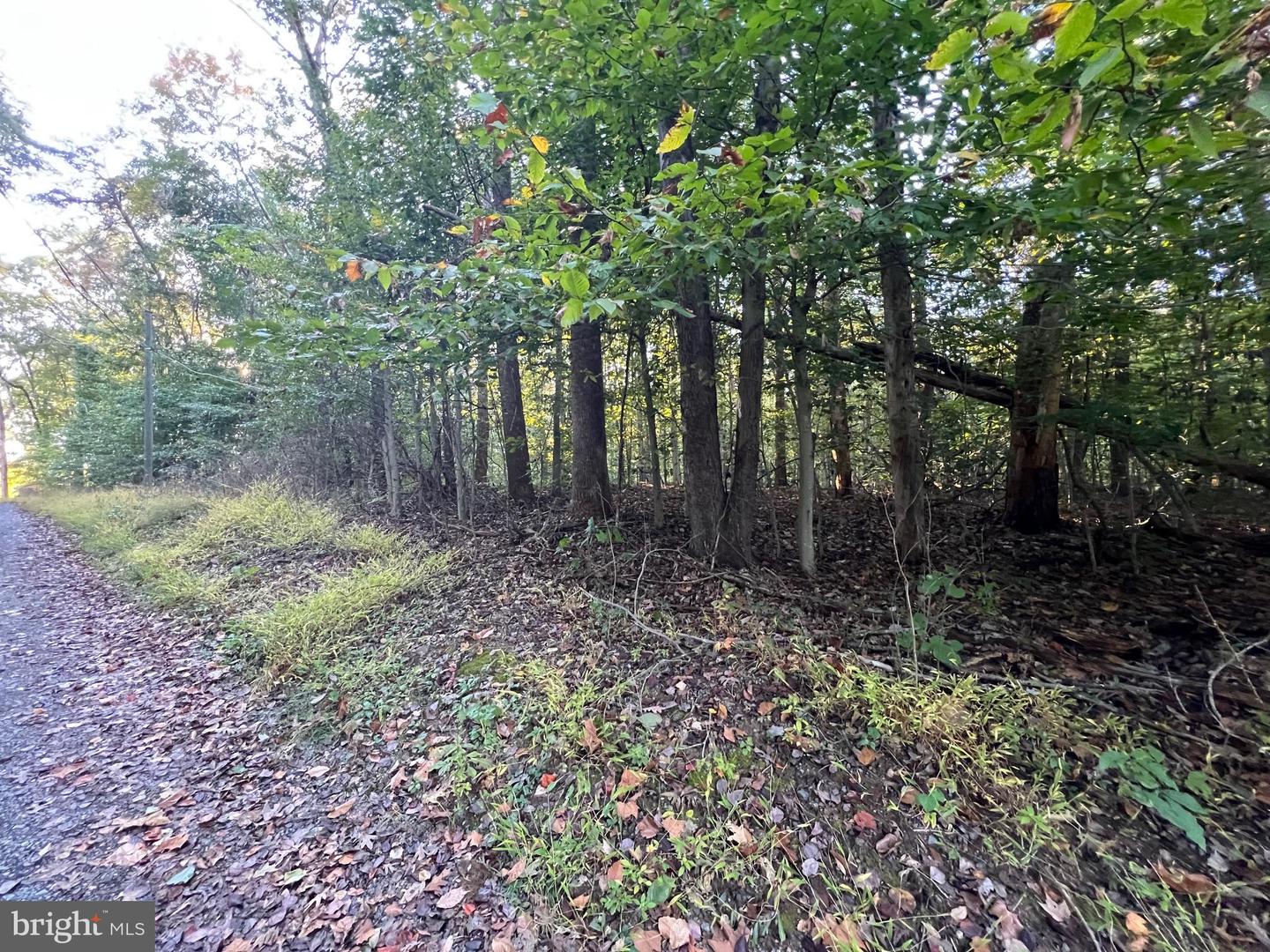 8125 PAPPAS DR, MANASSAS, Virginia 20112, ,Land,For sale,8125 PAPPAS DR,VAPW2106176 MLS # VAPW2106176 8125 PAPPAS DR, MANASSAS, Virginia 20112, ,Land,For sale,8125 PAPPAS DR,VAPW2106176 MLS # VAPW2106176